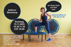 bellicon Workshop
